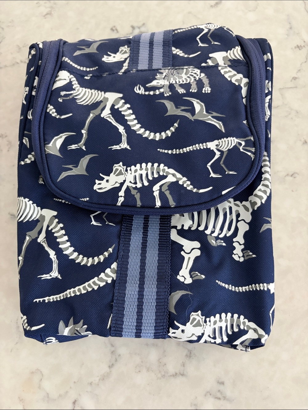 NEW Pottery Barn Kids Navy Dinosaur Skeleton Toiletry Bag